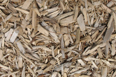 biomass boilers Newton Underwood